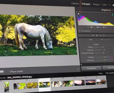 Corso base di Adobe Lightroom